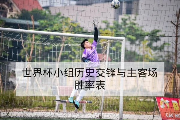 世界杯小组历史交锋与主客场胜率表