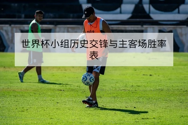 世界杯小组历史交锋与主客场胜率表